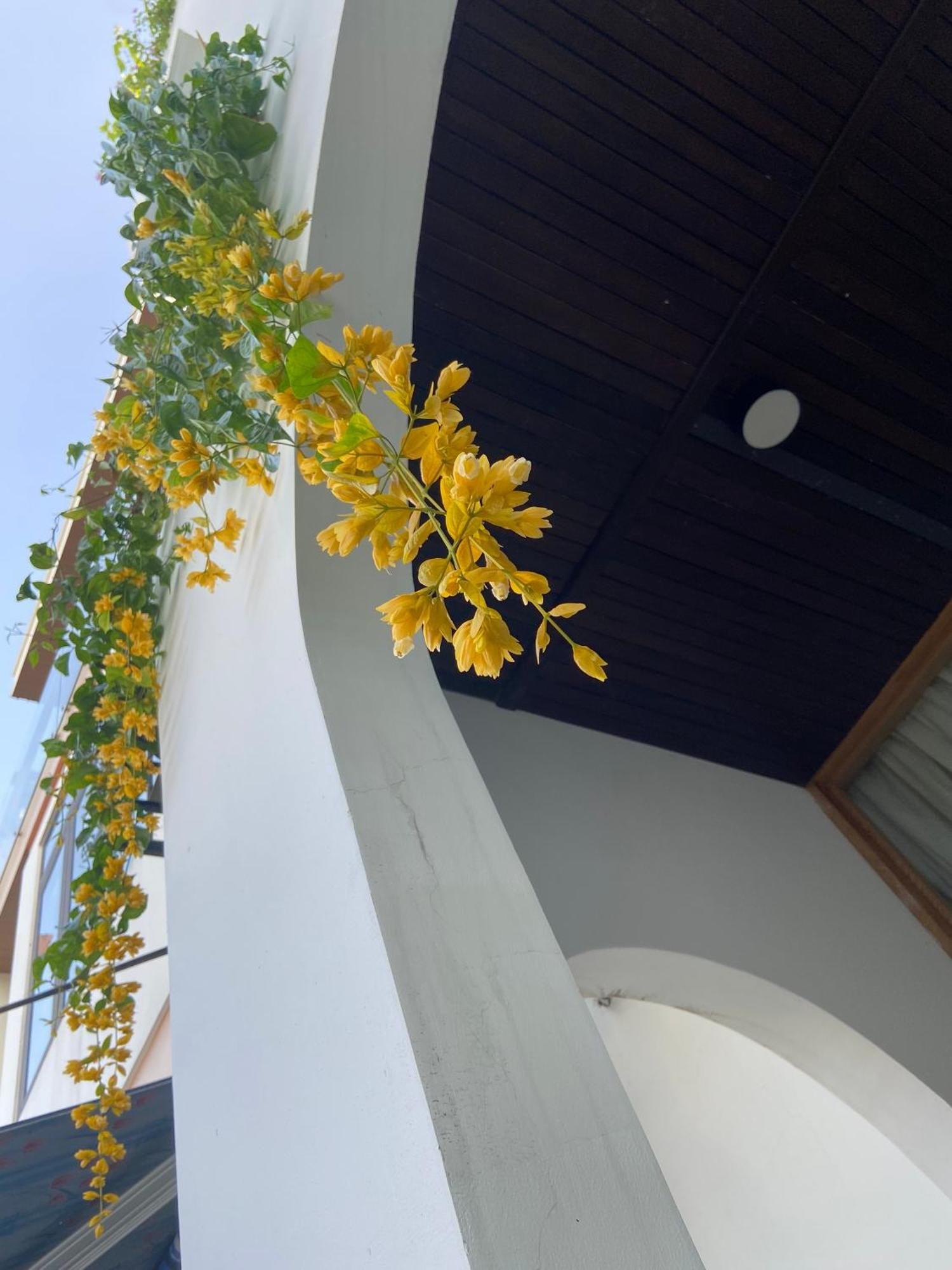 Appartement Tiny Cozy House à Đà Nẵng Extérieur photo