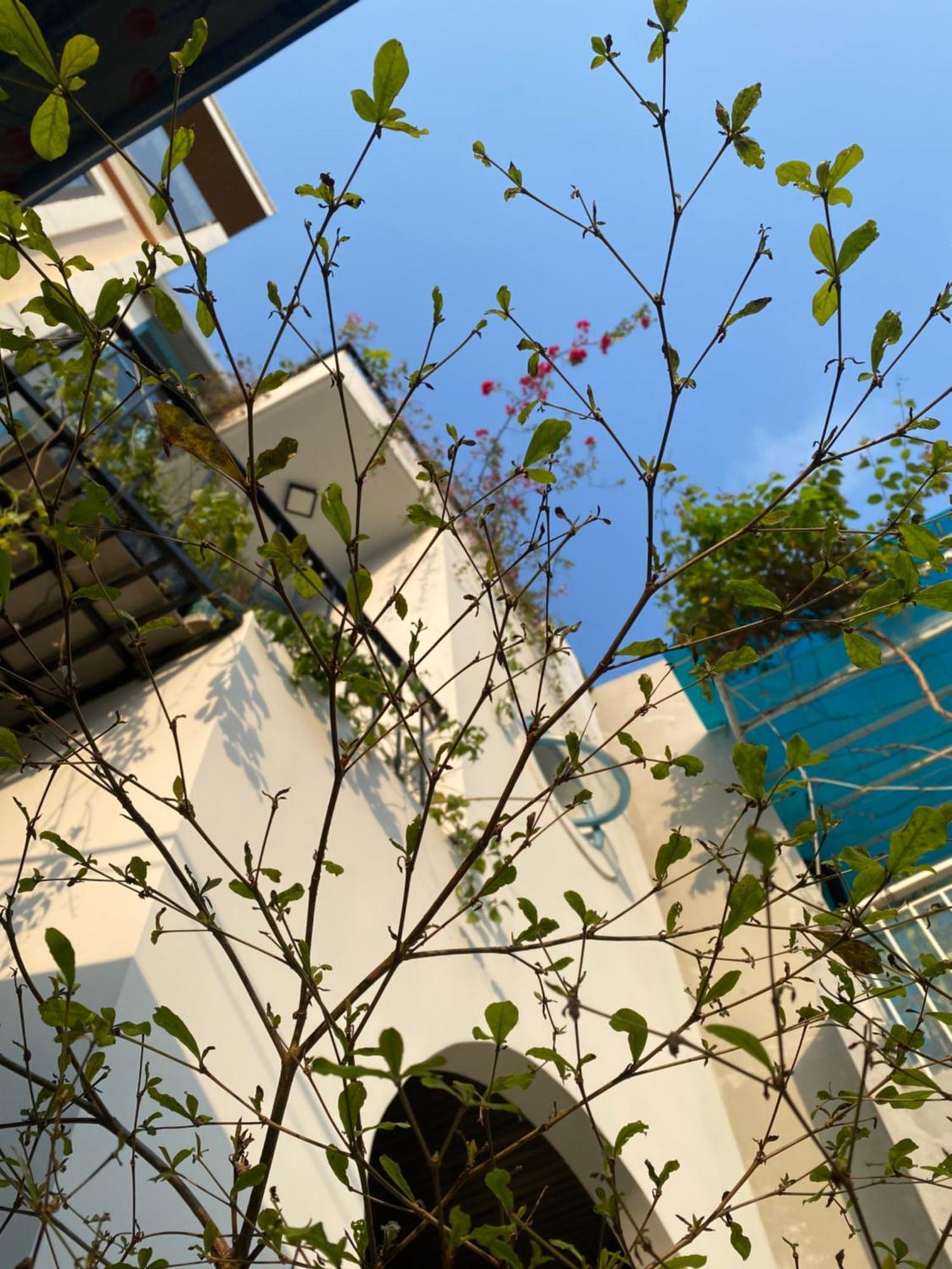 Appartement Tiny Cozy House à Đà Nẵng Extérieur photo